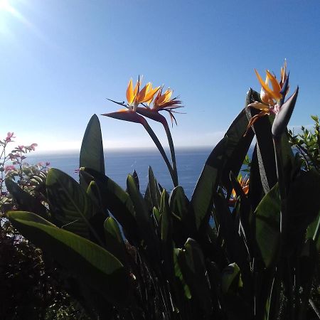 Apartamento Do Sol Arco da Calheta  Esterno foto