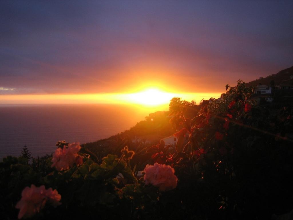 Apartamento Do Sol Arco da Calheta  Esterno foto
