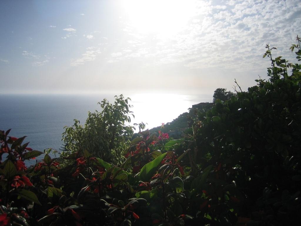 Apartamento Do Sol Arco da Calheta  Esterno foto